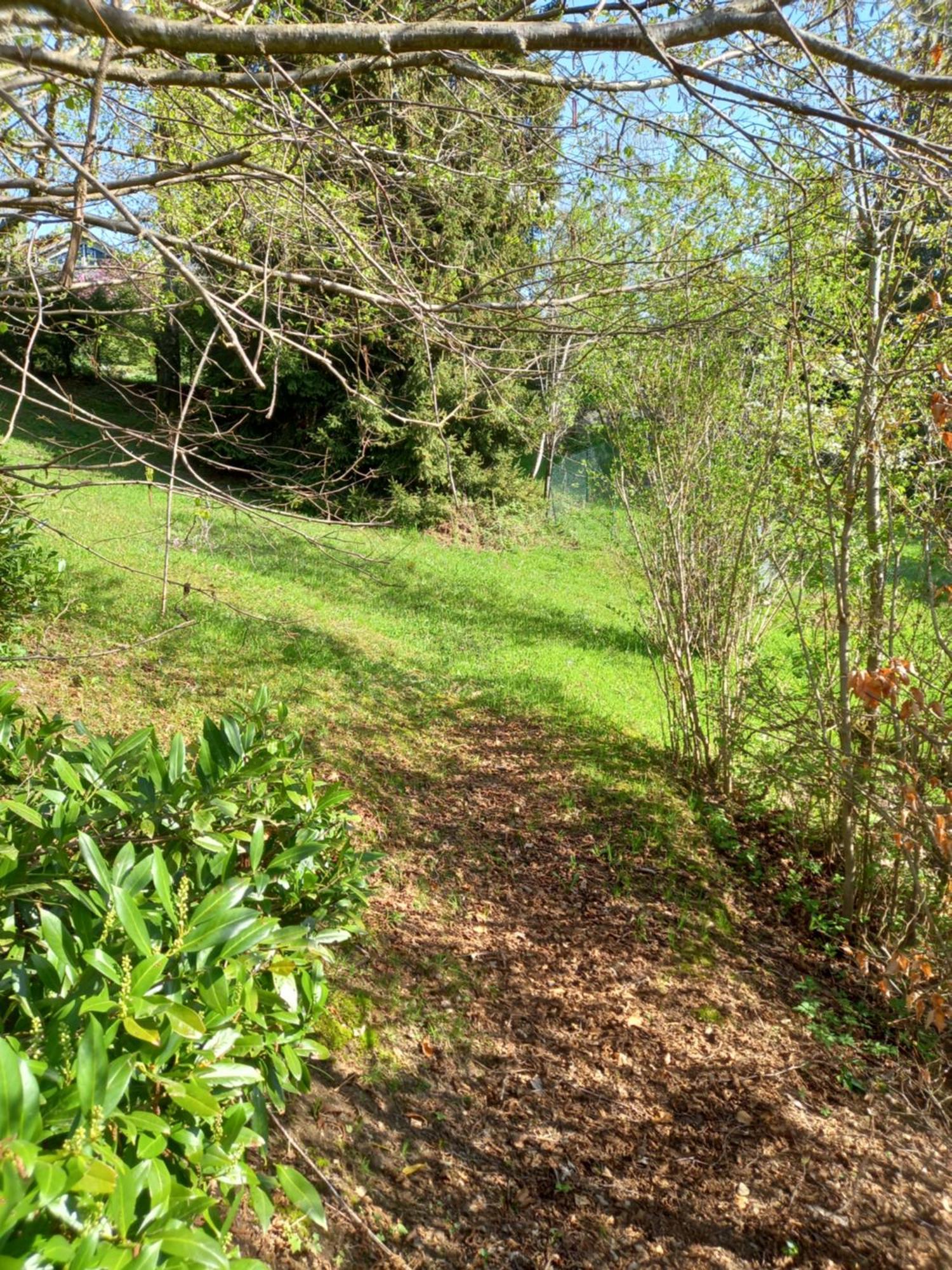 Bellavie2 Villa La Bresse Bagian luar foto